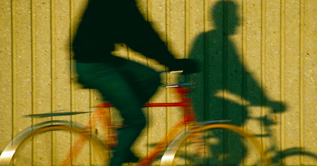 A Guide to Installing Wooden Crown Molding Like a Pro