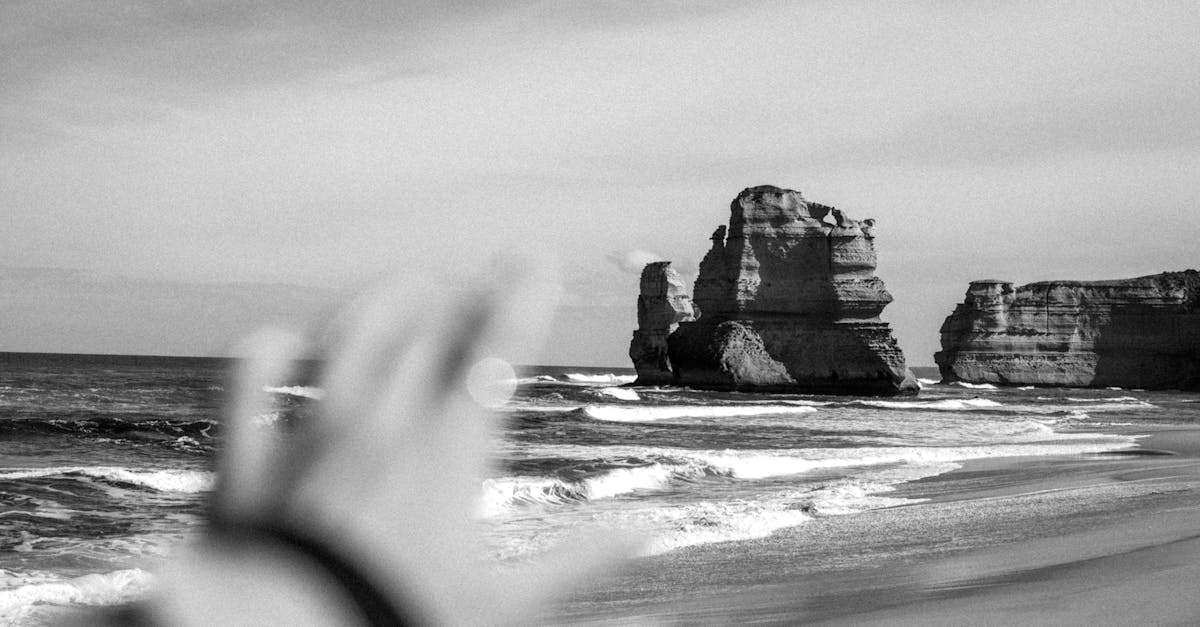 Budget-friendly Kitchen Renovation Ideas for Melbourne Homes