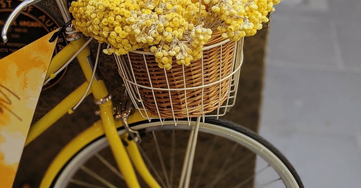 Building Custom Bookshelves: A Step-by-Step Guide for Homeowners