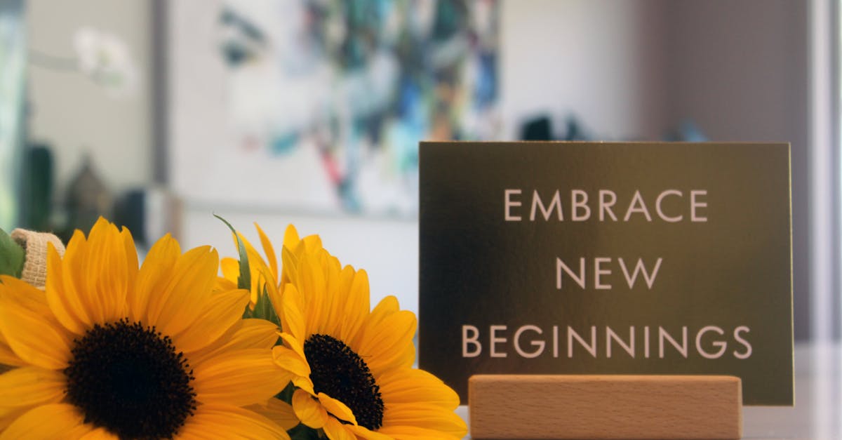 Essential Features for Accessible Bathroom Designs