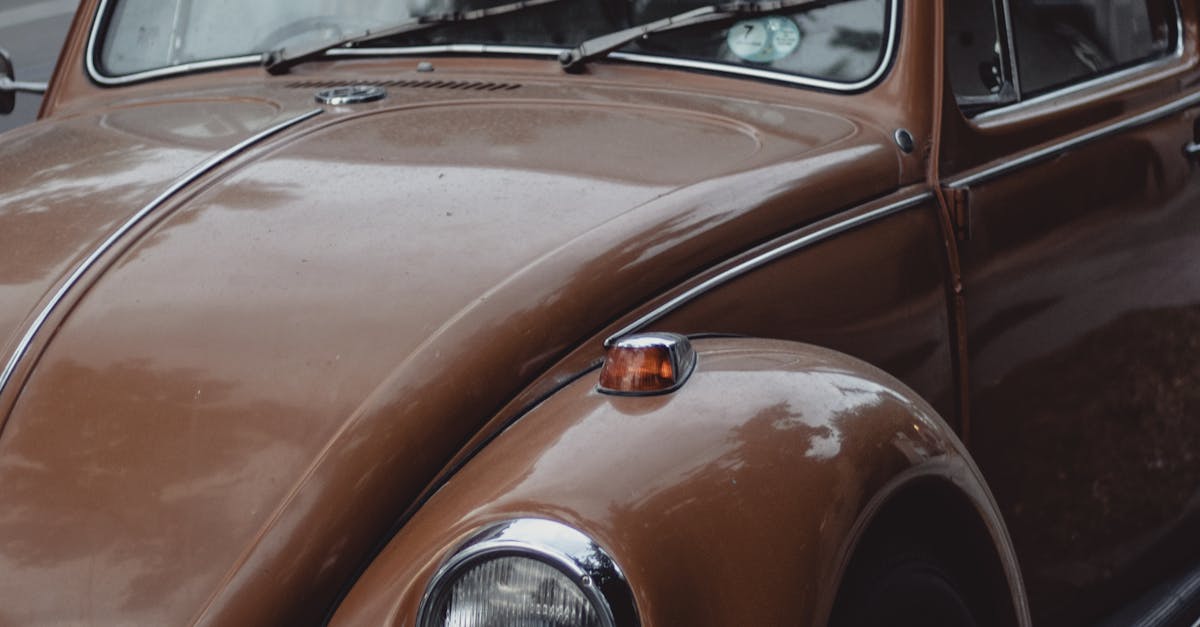 How to Identify and Repair Water Damage in Drywall