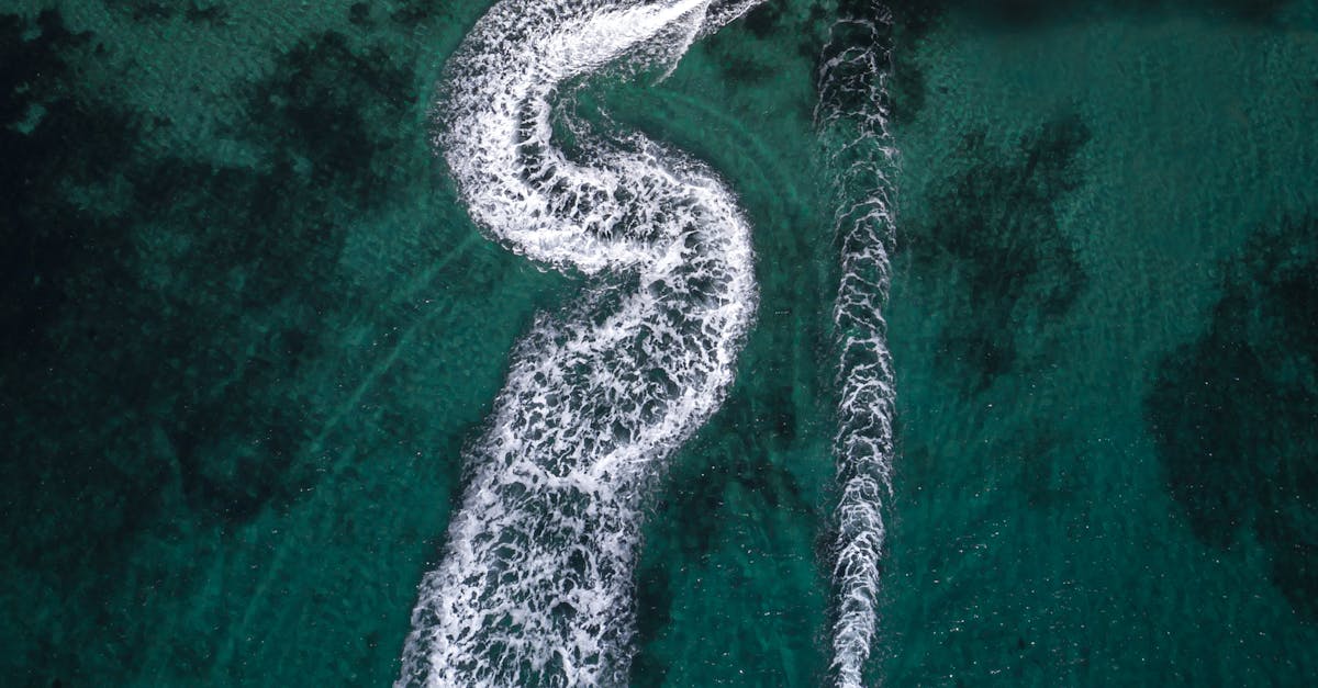 How to Incorporate Solar Solutions into Your Renovation