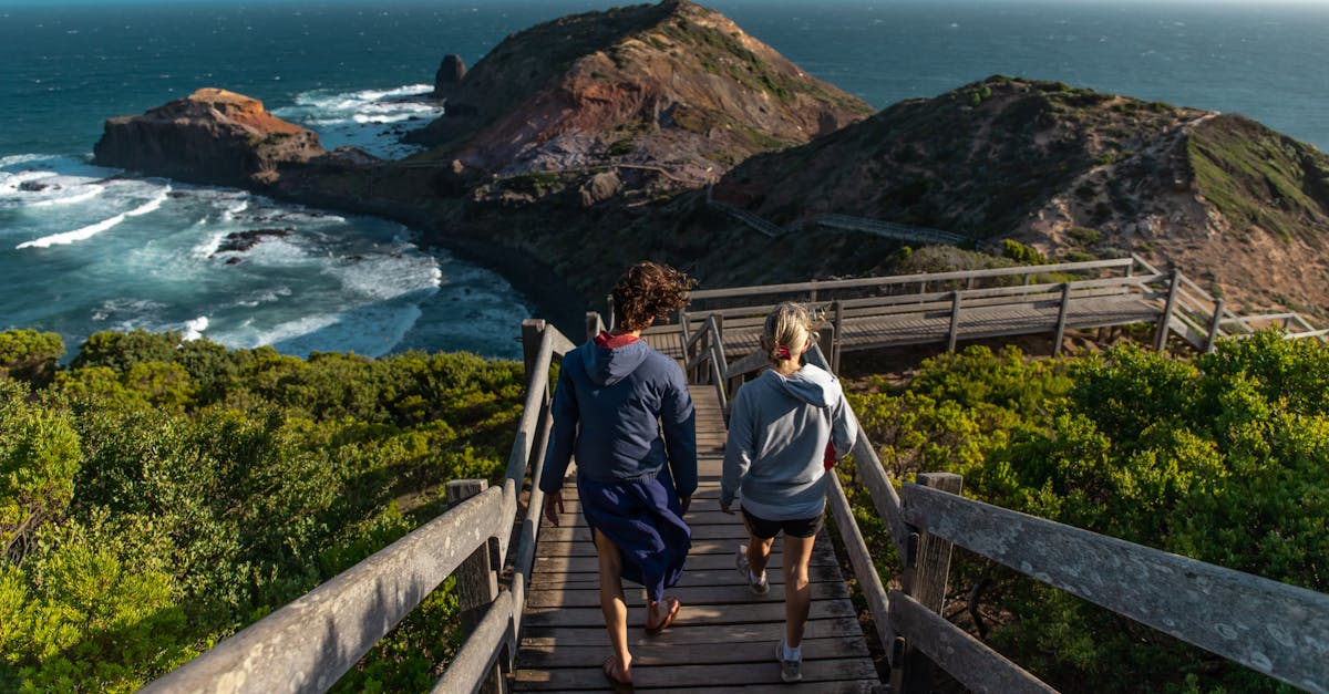 How to Perform Routine Maintenance on Your Home Appliances