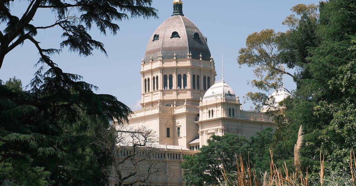 Quick Solutions for Squeaky Floorboards in Your Home