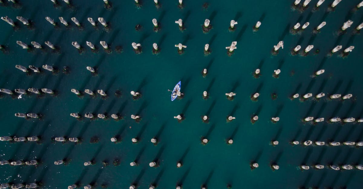 Routine HVAC Checks: Keeping Your System Efficient Year-Round