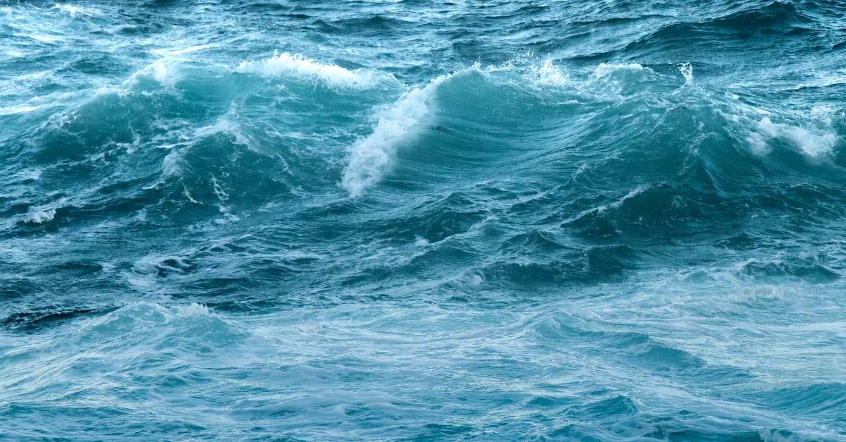 Understanding Electrical Safety Standards in Melbourne Homes